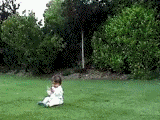 bebe